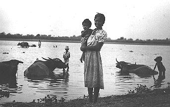 Luzon woman and child, water buffalo in river - Peno River