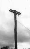picture of WWII telephone poles and wires